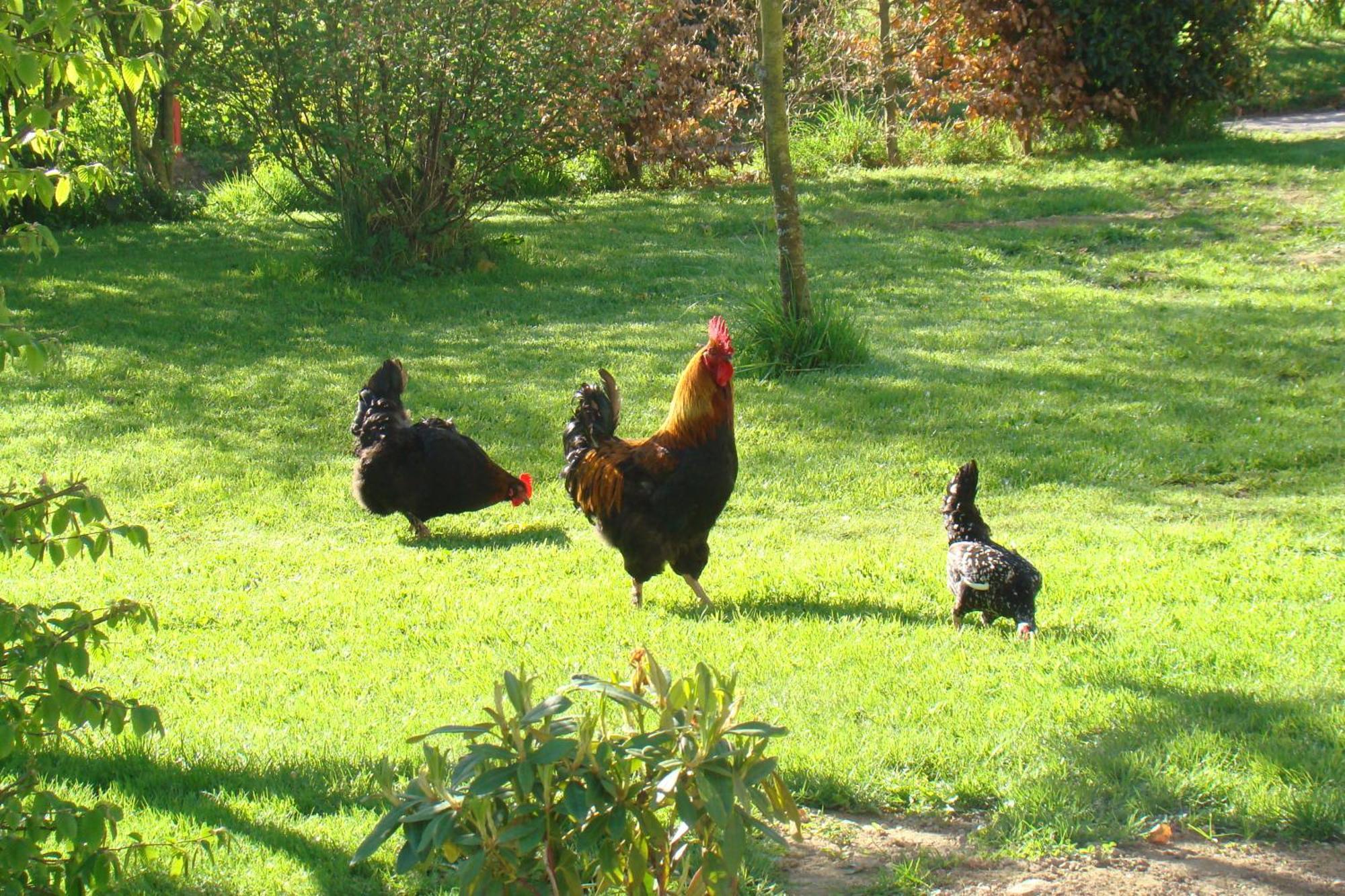 Gite De La Cour Campandré-Valcongrain Buitenkant foto